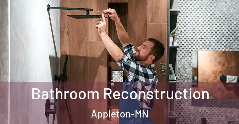 inner Bathroom imggen Bathroom Reconstruction Appleton-MN