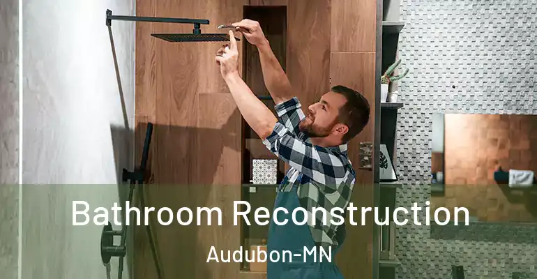 inner Bathroom imggen Bathroom Reconstruction Audubon-MN
