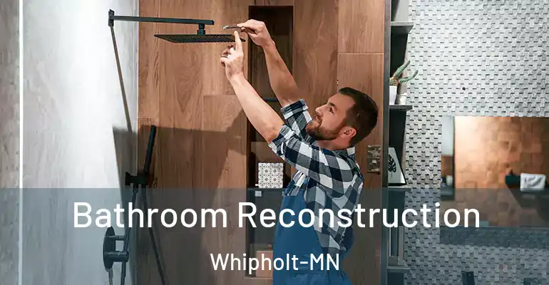inner Bathroom imggen Bathroom Reconstruction Whipholt-MN
