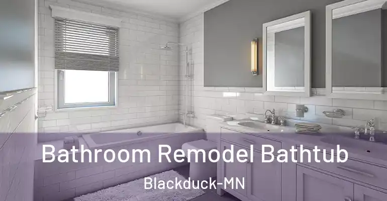 inner Bathroom imggen Bathroom Remodel Bathtub Blackduck-MN