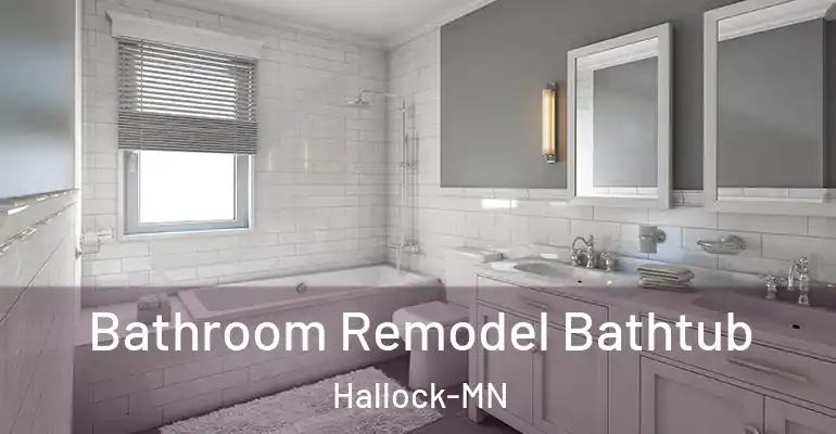 inner Bathroom imggen Bathroom Remodel Bathtub Hallock-MN