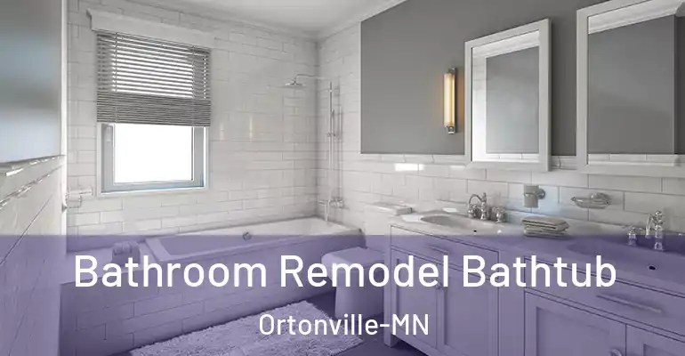 inner Bathroom imggen Bathroom Remodel Bathtub Ortonville-MN