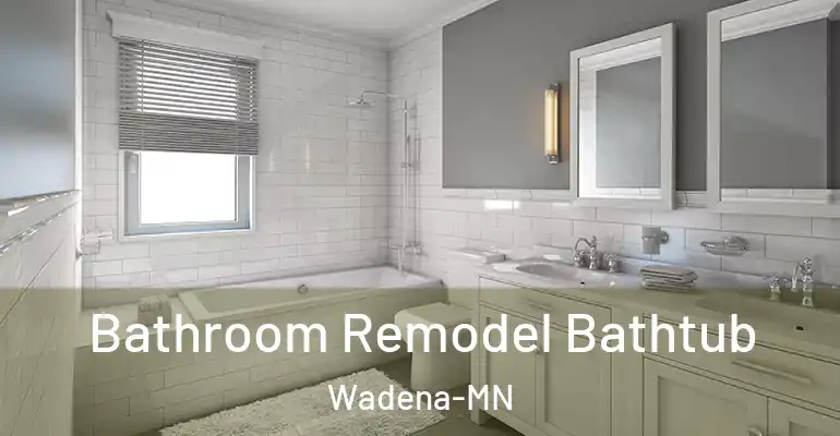 inner Bathroom imggen Bathroom Remodel Bathtub Wadena-MN