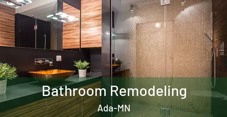 inner Bathroom imggen Bathroom Remodeling Ada-MN