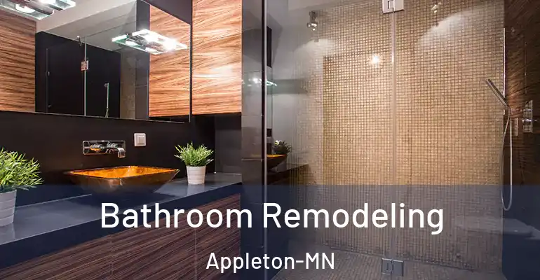 inner Bathroom imggen Bathroom Remodeling Appleton-MN