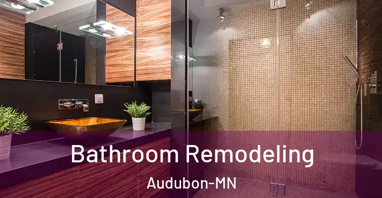 inner Bathroom imggen Bathroom Remodeling Audubon-MN