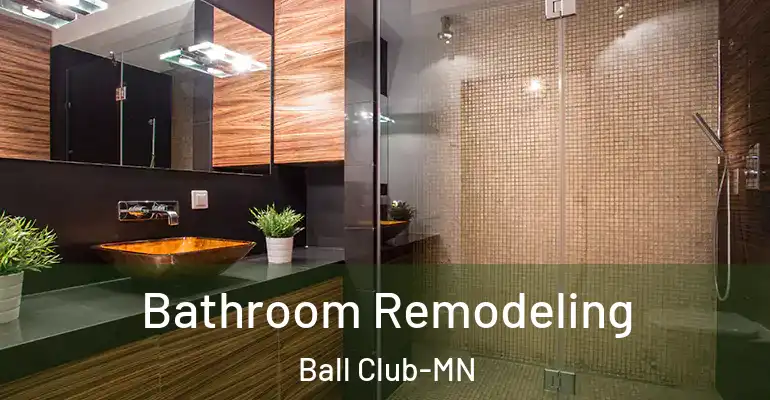 inner Bathroom imggen Bathroom Remodeling Ball Club-MN