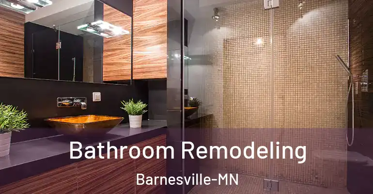 inner Bathroom imggen Bathroom Remodeling Barnesville-MN