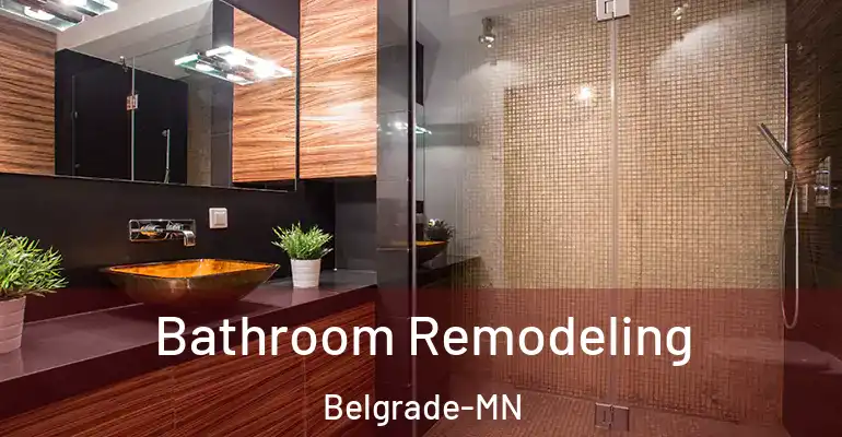 inner Bathroom imggen Bathroom Remodeling Belgrade-MN