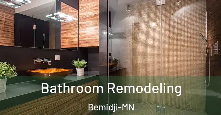 inner Bathroom imggen Bathroom Remodeling Bemidji-MN