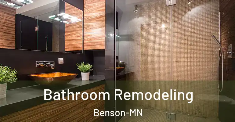 inner Bathroom imggen Bathroom Remodeling Benson-MN