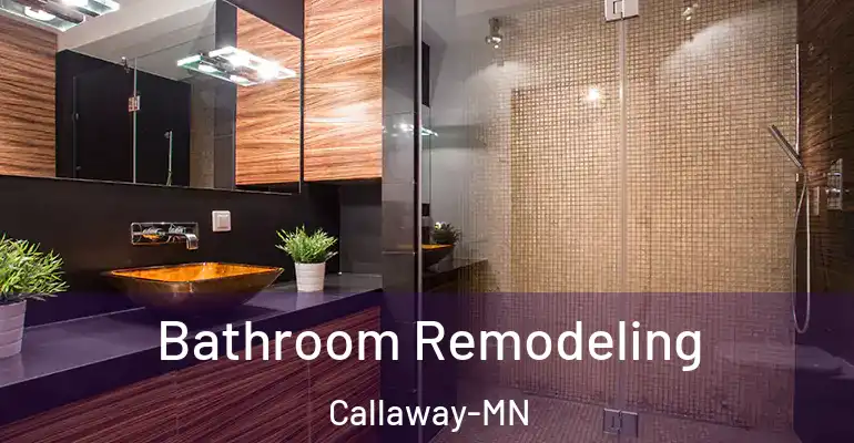 inner Bathroom imggen Bathroom Remodeling Callaway-MN