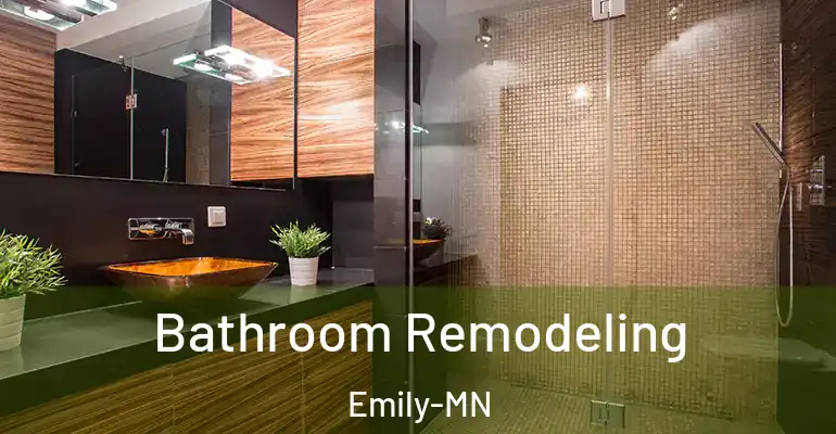 inner Bathroom imggen Bathroom Remodeling Emily-MN