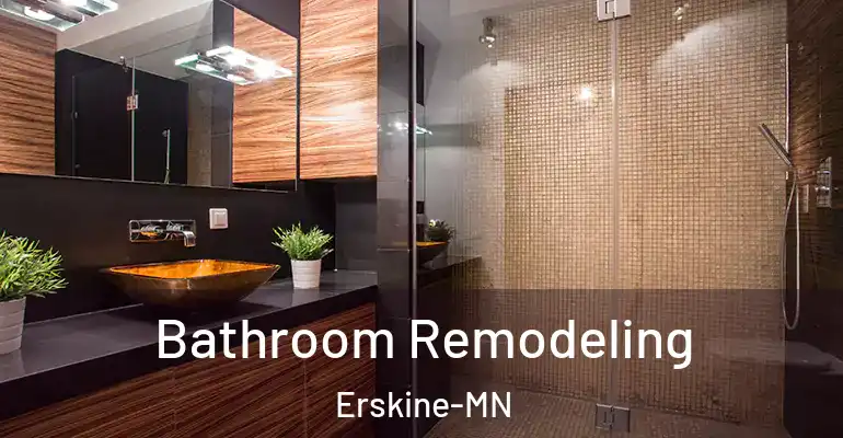 inner Bathroom imggen Bathroom Remodeling Erskine-MN