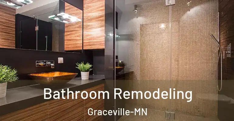 inner Bathroom imggen Bathroom Remodeling Graceville-MN