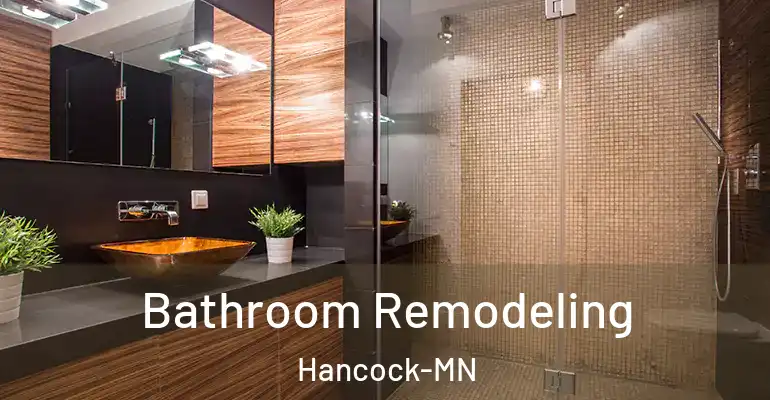 inner Bathroom imggen Bathroom Remodeling Hancock-MN