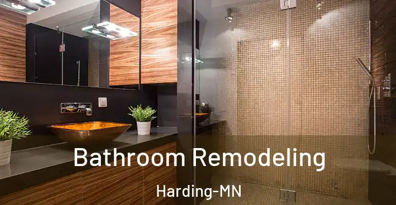 inner Bathroom imggen Bathroom Remodeling Harding-MN
