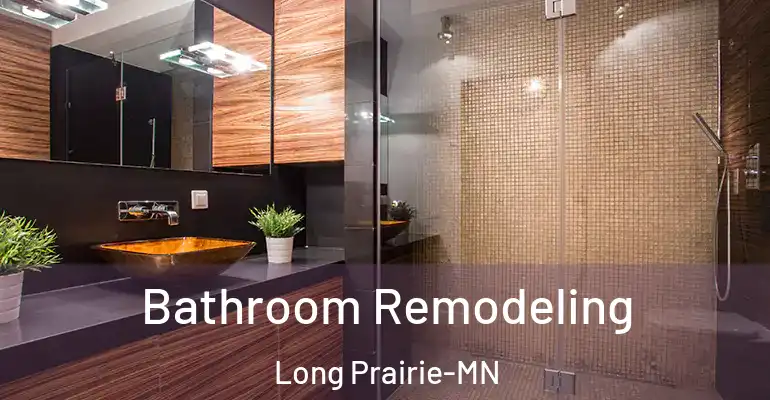 inner Bathroom imggen Bathroom Remodeling Long Prairie-MN