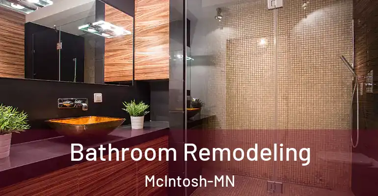 inner Bathroom imggen Bathroom Remodeling McIntosh-MN