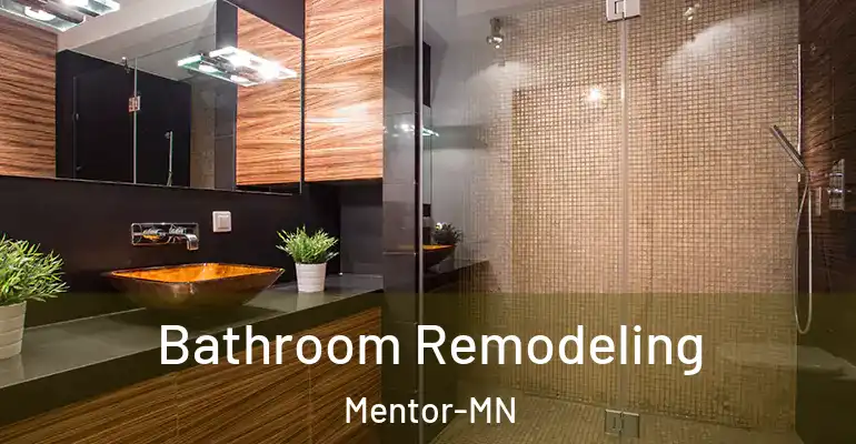 inner Bathroom imggen Bathroom Remodeling Mentor-MN