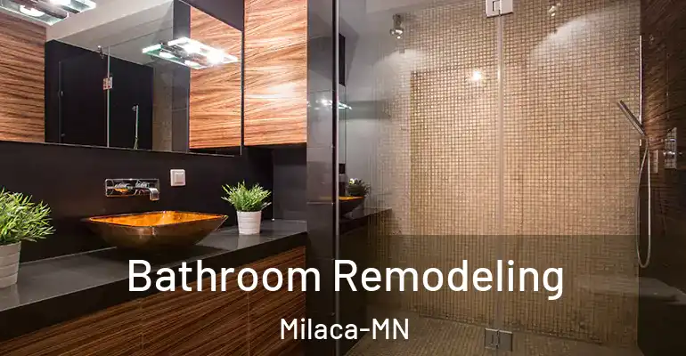 inner Bathroom imggen Bathroom Remodeling Milaca-MN
