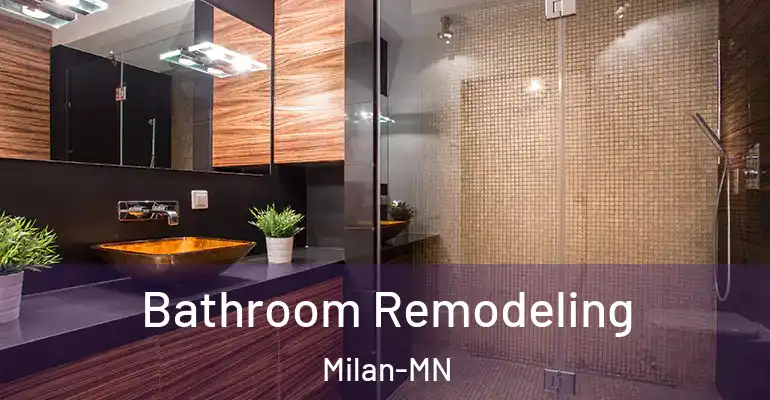inner Bathroom imggen Bathroom Remodeling Milan-MN