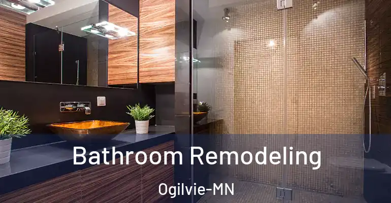 inner Bathroom imggen Bathroom Remodeling Ogilvie-MN