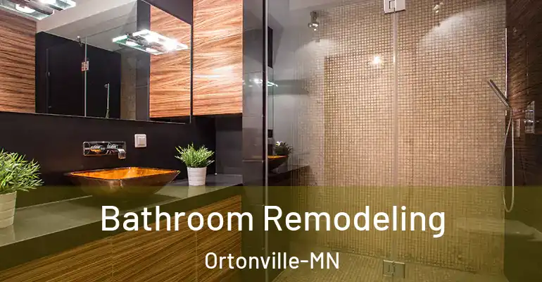 inner Bathroom imggen Bathroom Remodeling Ortonville-MN