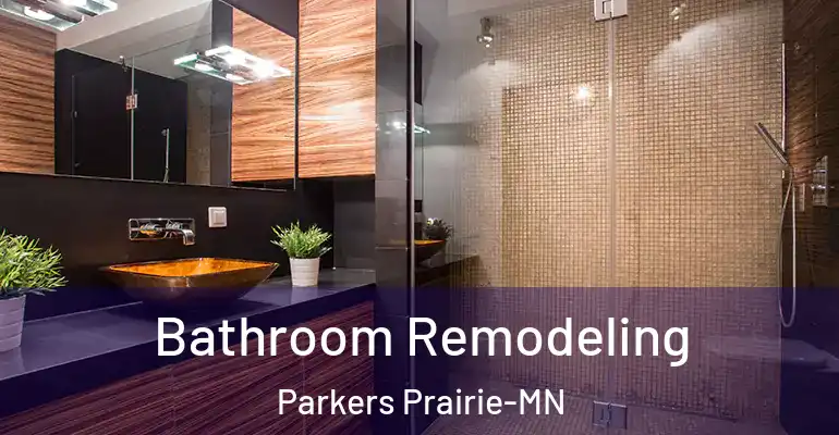 inner Bathroom imggen Bathroom Remodeling Parkers Prairie-MN