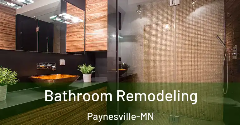 inner Bathroom imggen Bathroom Remodeling Paynesville-MN
