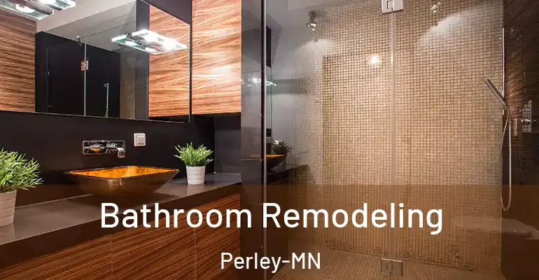 inner Bathroom imggen Bathroom Remodeling Perley-MN
