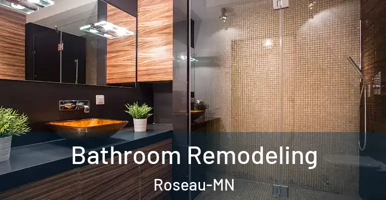 inner Bathroom imggen Bathroom Remodeling Roseau-MN