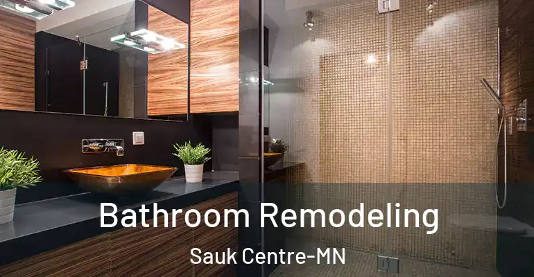 inner Bathroom imggen Bathroom Remodeling Sauk Centre-MN