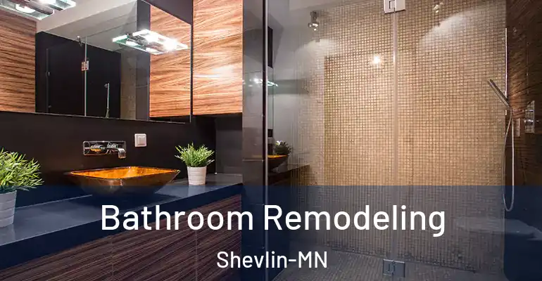 inner Bathroom imggen Bathroom Remodeling Shevlin-MN