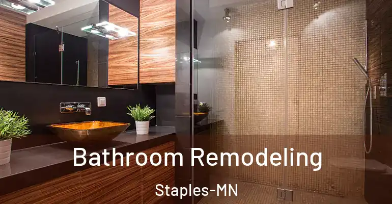 inner Bathroom imggen Bathroom Remodeling Staples-MN