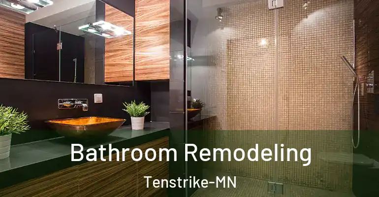 inner Bathroom imggen Bathroom Remodeling Tenstrike-MN