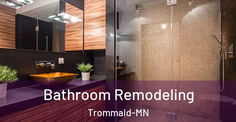 inner Bathroom imggen Bathroom Remodeling Trommald-MN