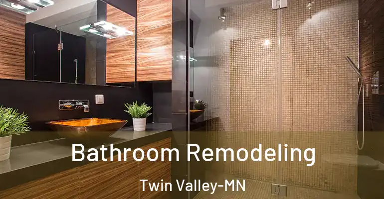 inner Bathroom imggen Bathroom Remodeling Twin Valley-MN