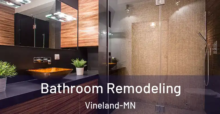 inner Bathroom imggen Bathroom Remodeling Vineland-MN