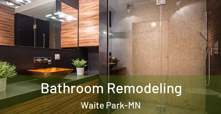 inner Bathroom imggen Bathroom Remodeling Waite Park-MN