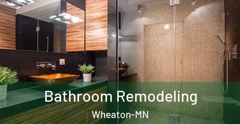 inner Bathroom imggen Bathroom Remodeling Wheaton-MN