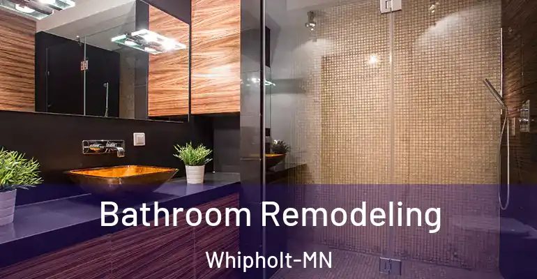 inner Bathroom imggen Bathroom Remodeling Whipholt-MN