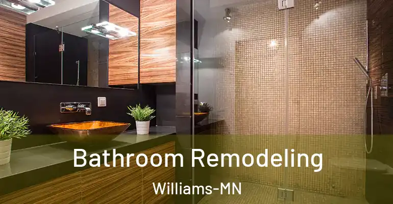 inner Bathroom imggen Bathroom Remodeling Williams-MN