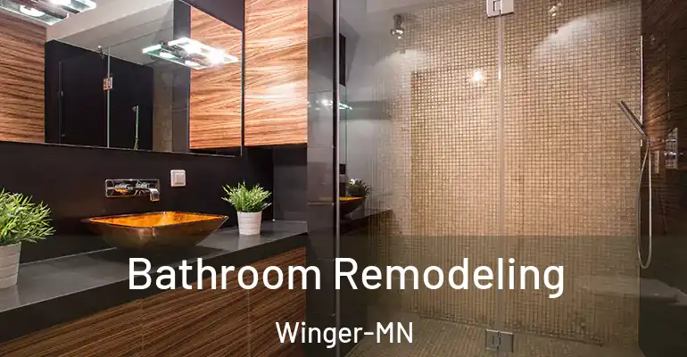 inner Bathroom imggen Bathroom Remodeling Winger-MN