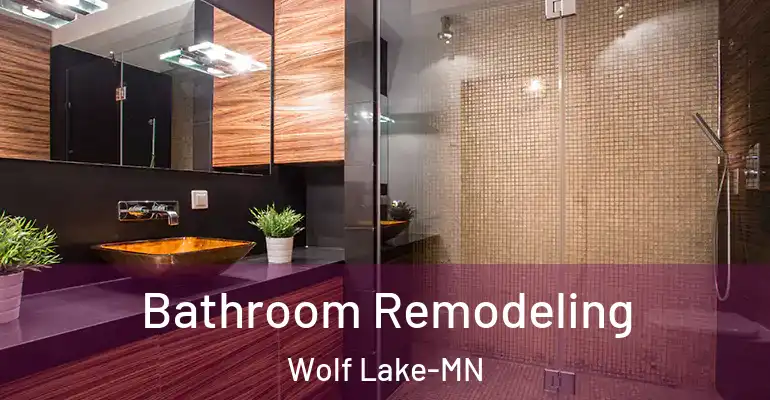 inner Bathroom imggen Bathroom Remodeling Wolf Lake-MN