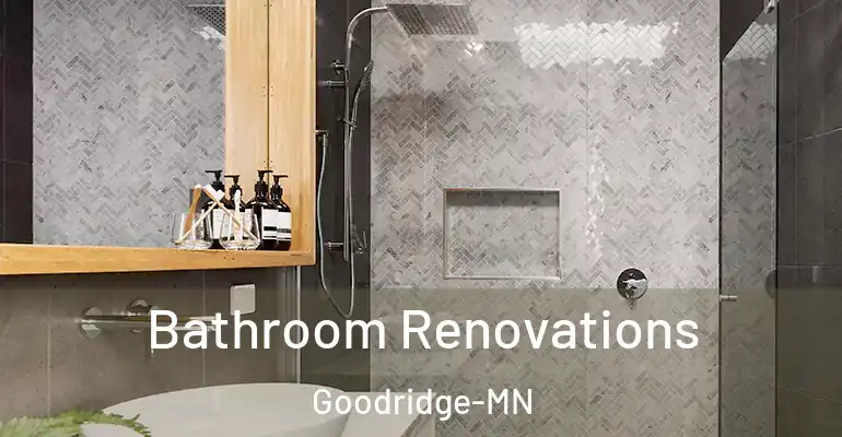 inner Bathroom imggen Bathroom Renovations Goodridge-MN