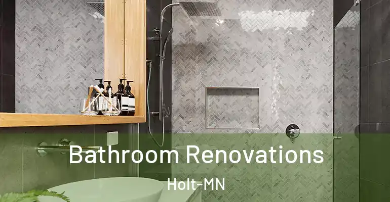 inner Bathroom imggen Bathroom Renovations Holt-MN