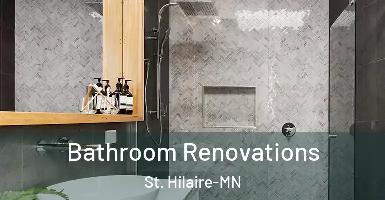 inner Bathroom imggen Bathroom Renovations St. Hilaire-MN