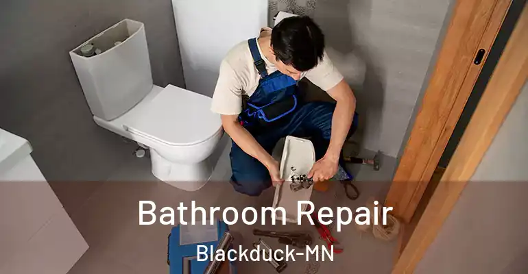 inner Bathroom imggen Bathroom Repair Blackduck-MN