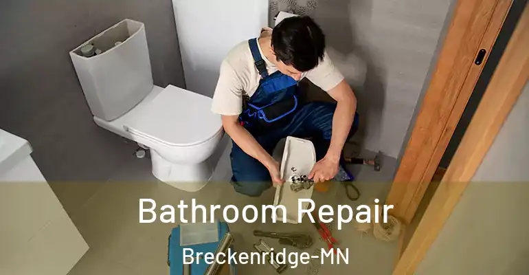 inner Bathroom imggen Bathroom Repair Breckenridge-MN